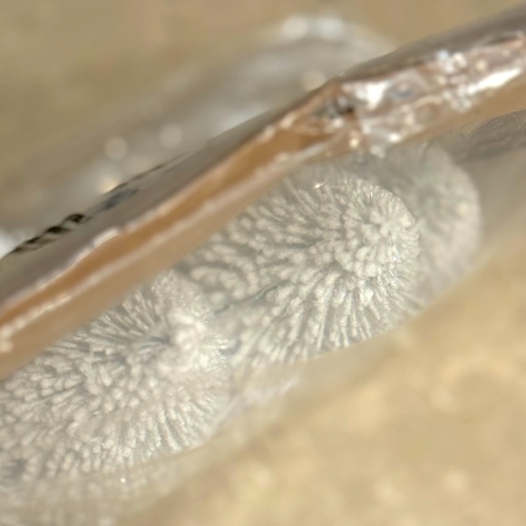 Set of 4 clip on White Brush Christmas Trees - Picture 4 of 6